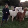 House sit pet parent - ‘Small’ Smallholding Kent