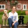 House sit pet parent - House sitting two lab x collies with lovely walks in East Sussex
