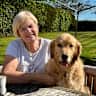 House sit pet parent - A home in rural Herefordshire with 3 dogs