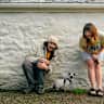 House sit pet parent - Cosy Cornish Cottage with Tofu the Siamese Kitten