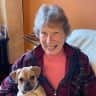 House sit pet parent - Adorable Puggle wants company and a house-sitter while family is away