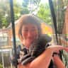 House sit pet parent - Independent cat in Sydney's inner west.