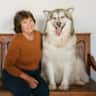 House sit pet parent - Experience Wildcat Cottage.. an unexpected retreat on the edge of Wildcat Canyon