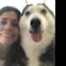 House sit pet parent - Pet sitter for a fluffy ball needed