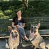 House sit pet parent - NYC stay with 2 German Shepherds - cozy apartment near parks in upper Manhattan