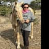 House sit pet parent - Lifestyle property with 6 horses and 2 cows