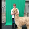 House sit pet parent - Beautfiul escape in North Devon, with sheep, alpacas and a cat. On the coast.