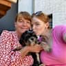 House sit pet parent - Lindsey Alex and Beau ❤️