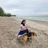 House sit pet parent - Beautiful home, awesome dog, stunning backyard in the wonderful Donalda area