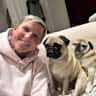 House sit pet parent - Two playful pugs needing a holiday bestie
