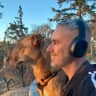 House sit pet parent - Katanchik needs a big dog lover to take care of him!