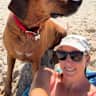 House sit pet parent - Zeus is a gorgeous big boy, living in beautiful coastal Cottesloe.