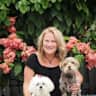 House sit pet parent - 2 bed/2 bath/2 dogs, 25th floor, great views: sunrise & sunset. Gym, pool, walk.
