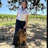 House sit pet parent - Lovely dog and home in San Francisco Bay Area