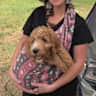 House sit pet parent - Mountain get away with spa amenities in Colorado