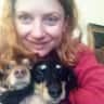 House sit pet parent - Bellingham!  + 2 fuzzy, snuggly sausage dogs