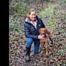 House sit pet parent - Affectionate fox red labrador near Henley on Thames