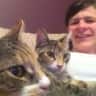 House sit pet parent - Housesitter needed in Woodford, Stockport for 2 Cats