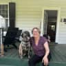 House sit pet parent - House-sitting in a Charming historic house