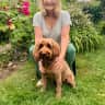House sit pet parent - Demelza in the Cotswolds