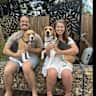 House sit pet parent - 2 beagles, pet and home sitting, South Canberra (ACT)