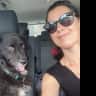 House sit pet parent - Dog&house sitting for the weekend