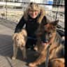 House sit pet parent - Christmas in a French farmhouse with 3 dogs? Experienced couple with car needed