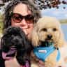 House sit pet parent - Seaside 2 bedroom home (beach 5-10 mins walk) with 3 adorable fur-babies.