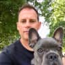 House sit pet parent - Jack would love to be looked after by you in Hove