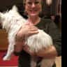 House sit pet parent - Charming countryside oasis with dogs and ducks