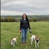 House sit pet parent - Country living in beautiful Yorkshire with 2 lovely doggies for company.