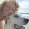 House sit pet parent - Looking for a dog and house sitter in a beautiful environment