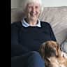 House sit pet parent - A carer for our delightful dog Honey