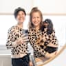 House sit pet parent - Sweet Cavalier King Charles in a Peaceful NYC Home!