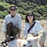 House sit pet parent - Stay with a Sweet Border Collie in Wellington Karori for three weeks