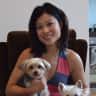 House sit pet parent - Stay in the hippest part of Brooklyn with 3 small cute dogs