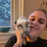 House sit pet parent - The Pussy Palace