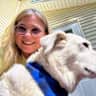 House sit pet parent - Enjoy the Lakes Region in Maine with a big happy dog.