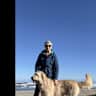 House sit pet parent - Very friendly dog, 1 mile from the coast in small neighborhood north of Florence