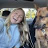 House sit pet parent - Sunny Brisbane bungalow and one very relaxed German Shepherd