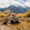 House sit pet parent - pet sitter needed for the last week of the year! House in Colorado Springs