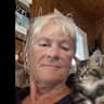 House sit pet parent - 4 cats