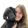 House sit pet parent - Dog lover required for lovely cocker spaniel in Dublin!