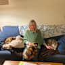 House sit pet parent - Sonoma , California wine country home with four lovely cats. And some fish.