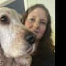 House sit pet parent - Hobby Farm on a couple of Acres and a Cocker Spaniel