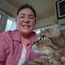 House sit pet parent - Enjoy Christmas with a cool cat in a vibrant French town!