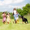 House sit pet parent - A trusted House Sitter Needed for Home and Pet Care in Marlborough