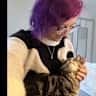House sit pet parent - Visit Maine! Prime Portland location with Prime Kitties! (Dates flexible)
