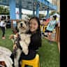 House sit pet parent - High-rise apartment in Seaport with a pool and a gym + sweetest bernedoodle!