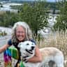 House sit pet parent - Stay by the Hoback River with one dog and two cats